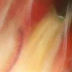 ÇA! - Peinture d'Annick Deltenre - VetrinArte