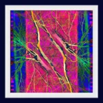 Pop Artbre Fuschia - Impression d'Alexandra Daoust - VetrinArte