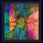 Pop Artbre Prisme - Impression d'Alexandra Daoust - VetrinArte