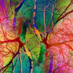 Pop Artbre Prisme - Impression d'Alexandra Daoust - VetrinArte