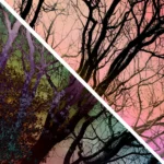 Pop Artbre Vice Versa - Impression d'Alexandra Daoust - VetrinArte