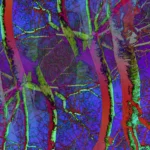 Pop Artbre Violet - Impression d'Alexandra Daoust - VetrinArte